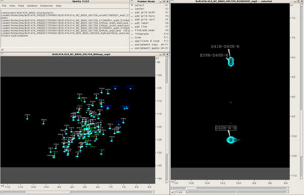 Sparky project lanuched showing NH-HSQC and N15-NOESY spectra